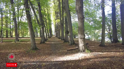 WALKTHROUGH LOOP IN GARDEN #DRAMMEN #NORWAY - NO MUSIC - NO TALKING - 4K NATURE