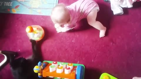 Baby and cat funny video