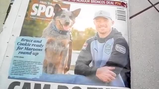 Albo's Toto is now top (blue) dog after ScoMo's loss and that's no mystery!