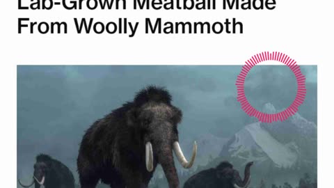 Mammoth Meatballs