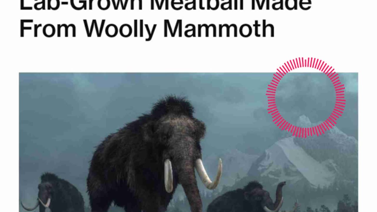 Mammoth Meatballs