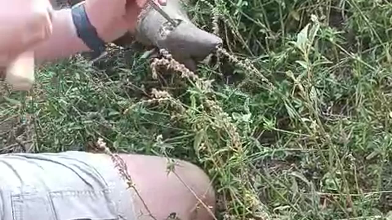 Dinokeng makes strides with poaching of rhinos and other wildlife