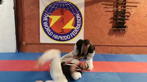 Hapkido