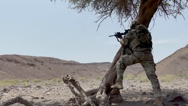 Task Force Iron Gray conducts joint combined arms live-fire with French forces