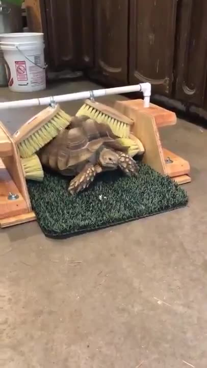 When you got that hard to reach itch 🤣