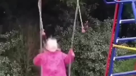 Funny Dogs And Cats