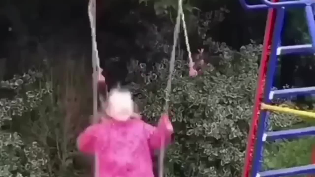 Funny Dogs And Cats