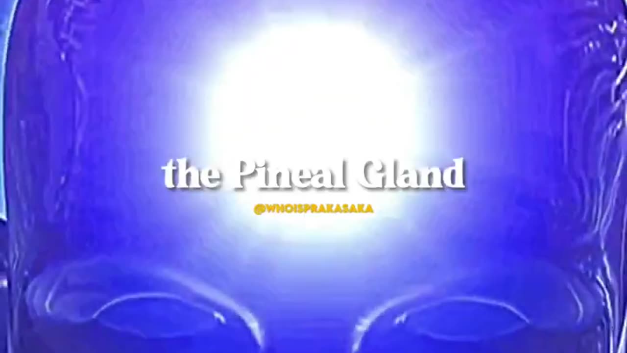 Santos Bonacci: "Activate your Pinocchio" - "Pine" (Pineal Gland) & "Occhio" (Ocular) !
