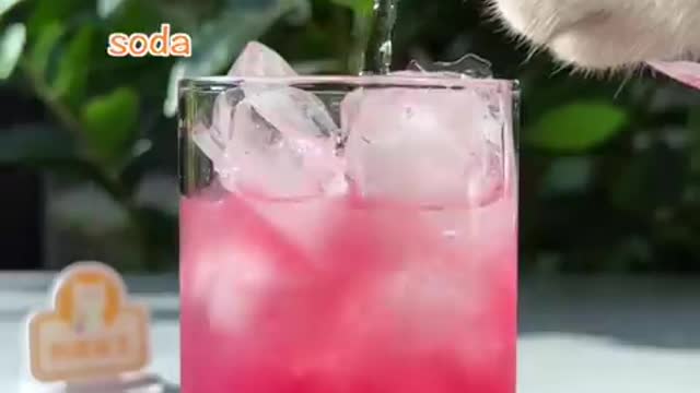 The Best way to Make pomegranate juice chef cat cooking