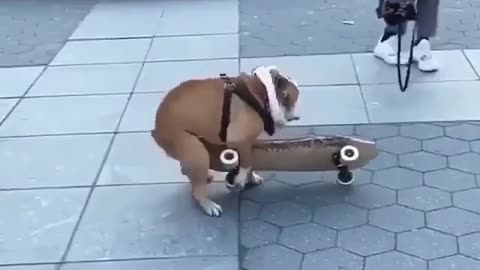 Класс но да