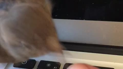 It’s not Hunter’s laptop