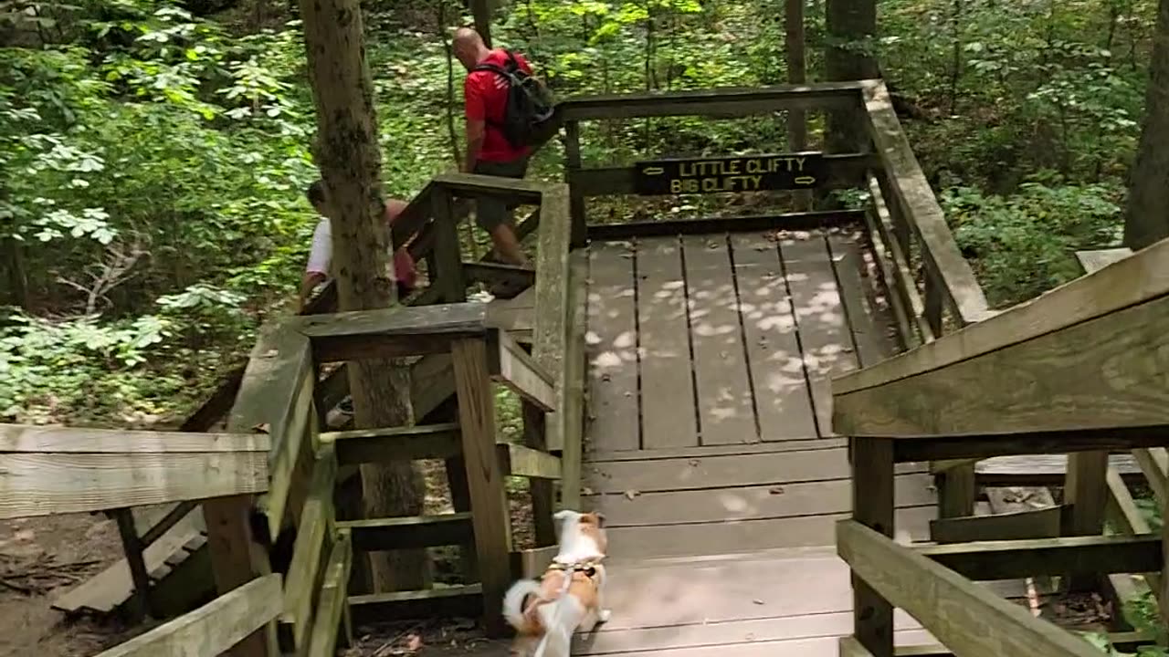 Lots of steps @ Clifty Falls State Park, Madison, IN