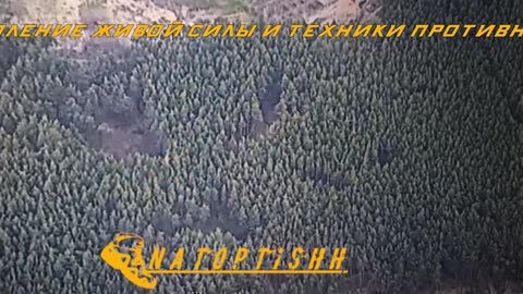 8042024.1816