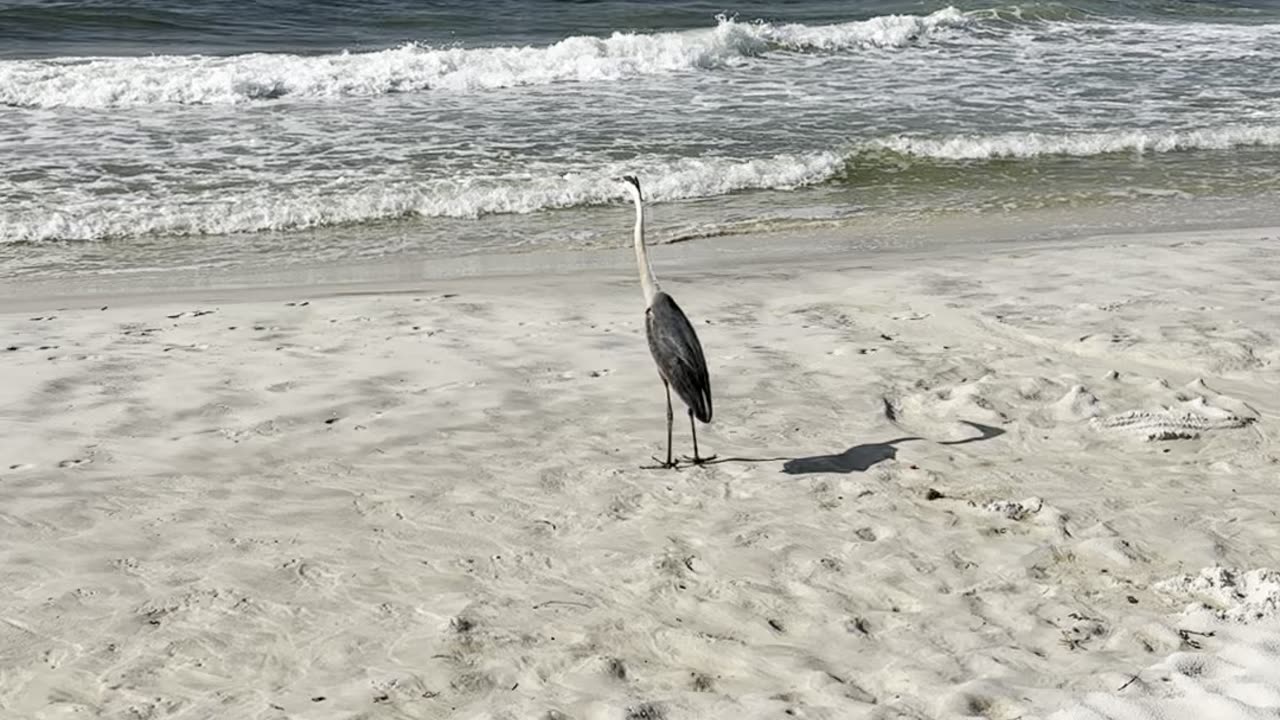 Pensacola, Florida