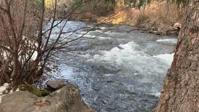 The Crystal Clear Whychus Creek – Central Oregon