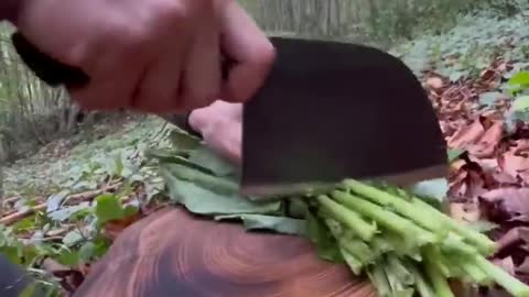 COOKING IN NATURE