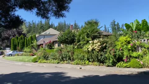 Amazing Oregon garden with Queen palms!