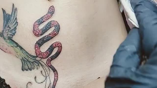 Snake Tattoo