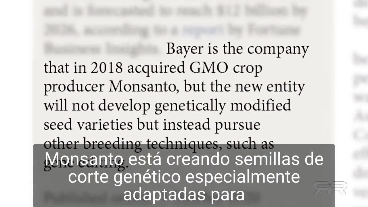 Alimentos vc Big pharma (GMO vs Vacinas)