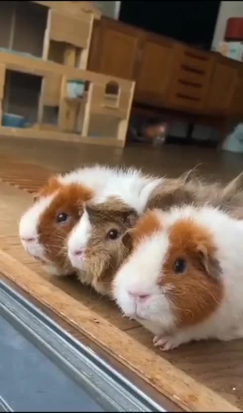 It's good to watch the rain in a dry apartment