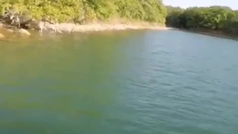 Double Bass Catch @ Lake Murray