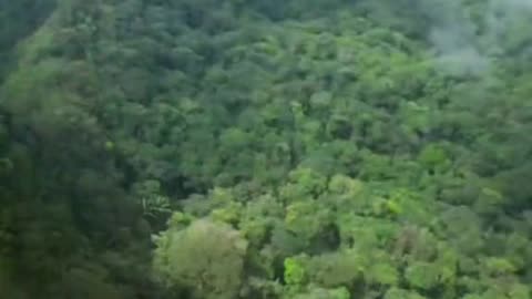 Relaxation video