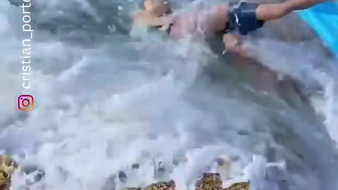 TRY NOT TO LAUGH!!😂😂😂