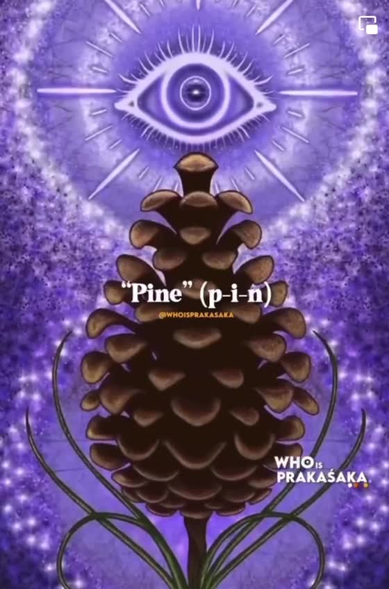 Pineal Gland and Ponokio