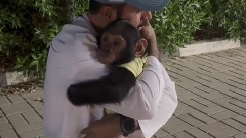 Monkey love to human