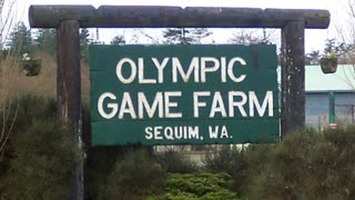 PrankNET Takes Over Olympic Game Farm - pranknet archive