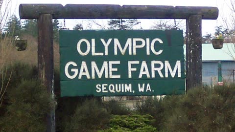 PrankNET Takes Over Olympic Game Farm - pranknet archive