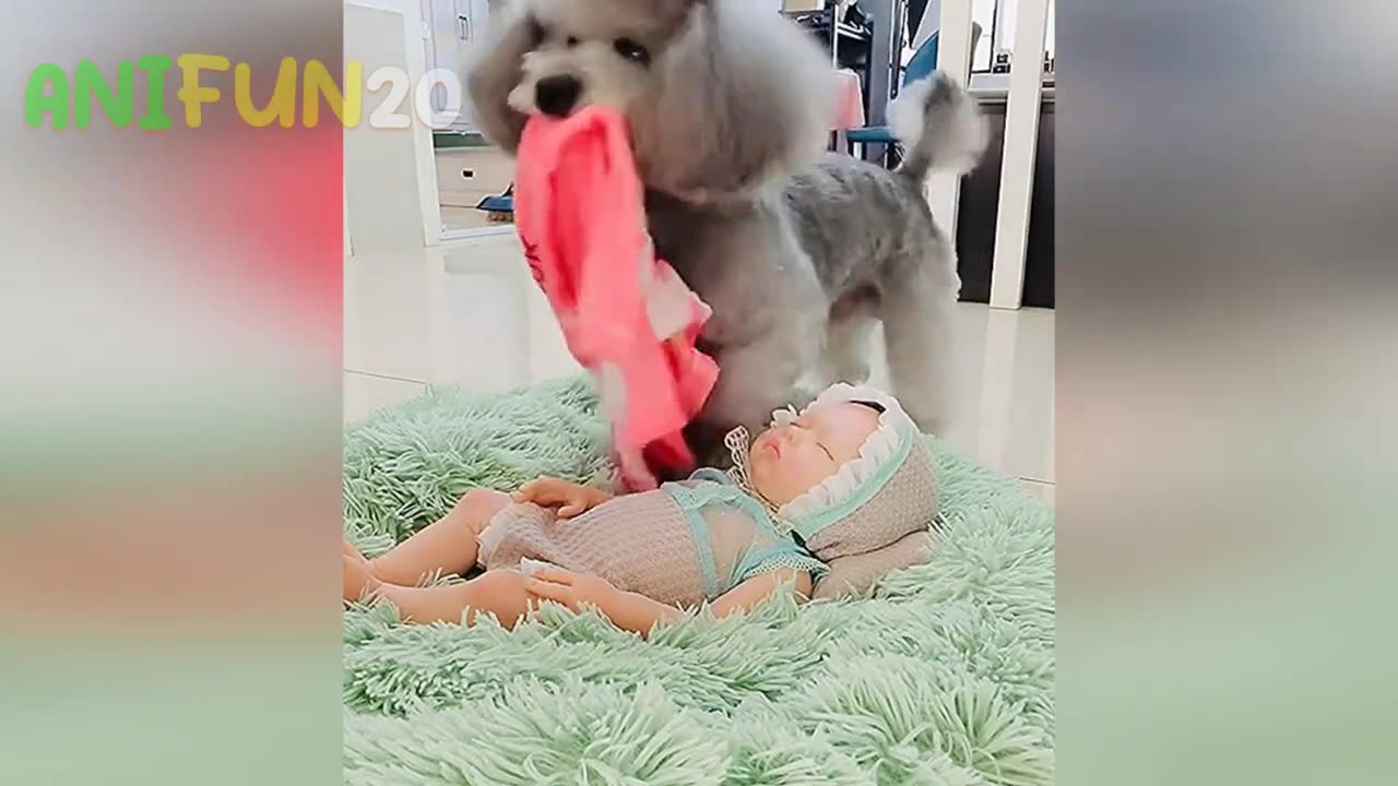 best funniest animal videos 2023🤣