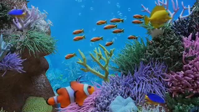 The beauty of underwater life with various types of beautiful fish