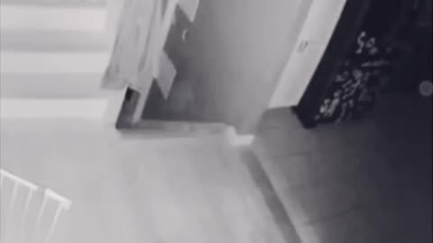 Ghost capturead in CCTV camera