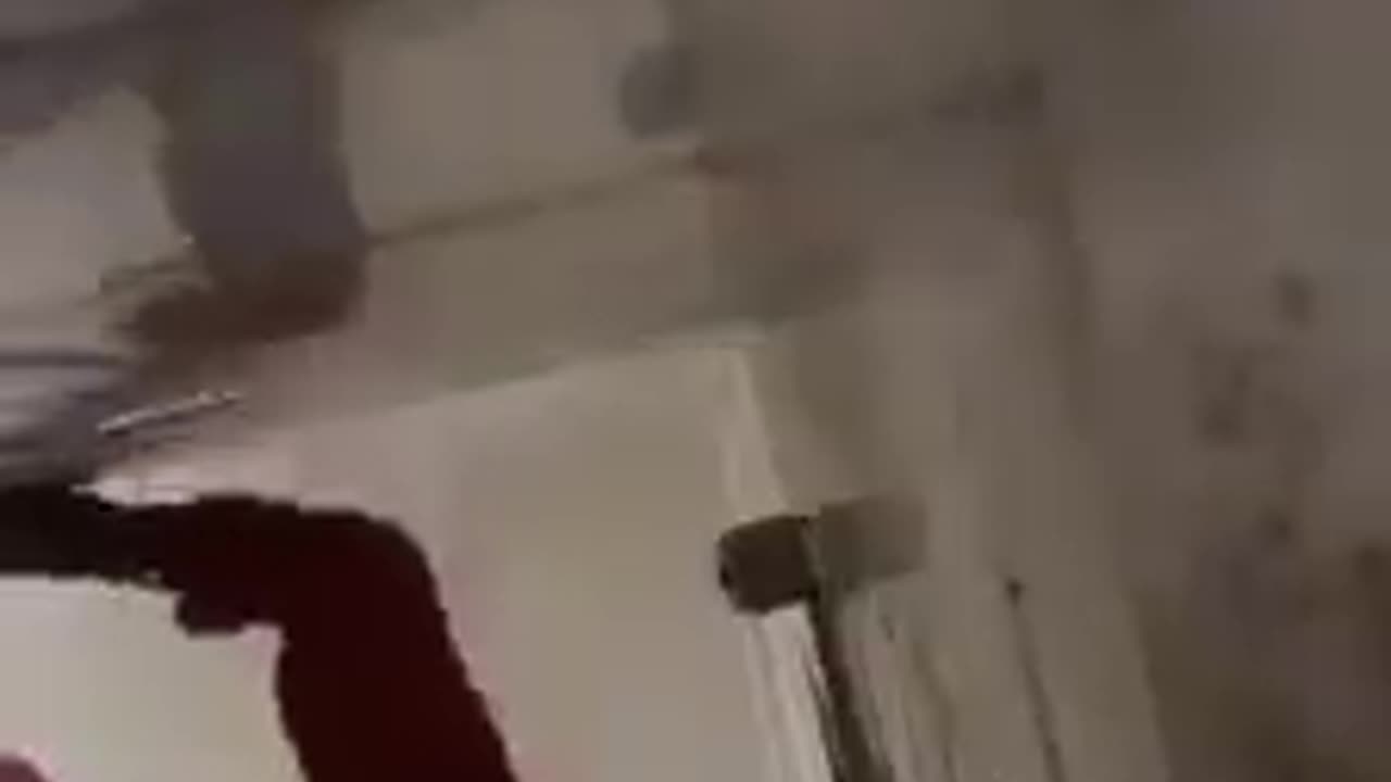 O Rato venceu todos