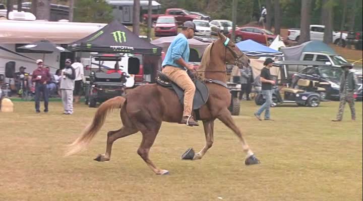 RACERS DELITE | INCORPORATED HORSE RIDERS OF TALLADEGA