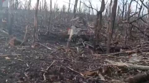 Footage from the northern flank of the city of Avdeevka in the Donetsk region.