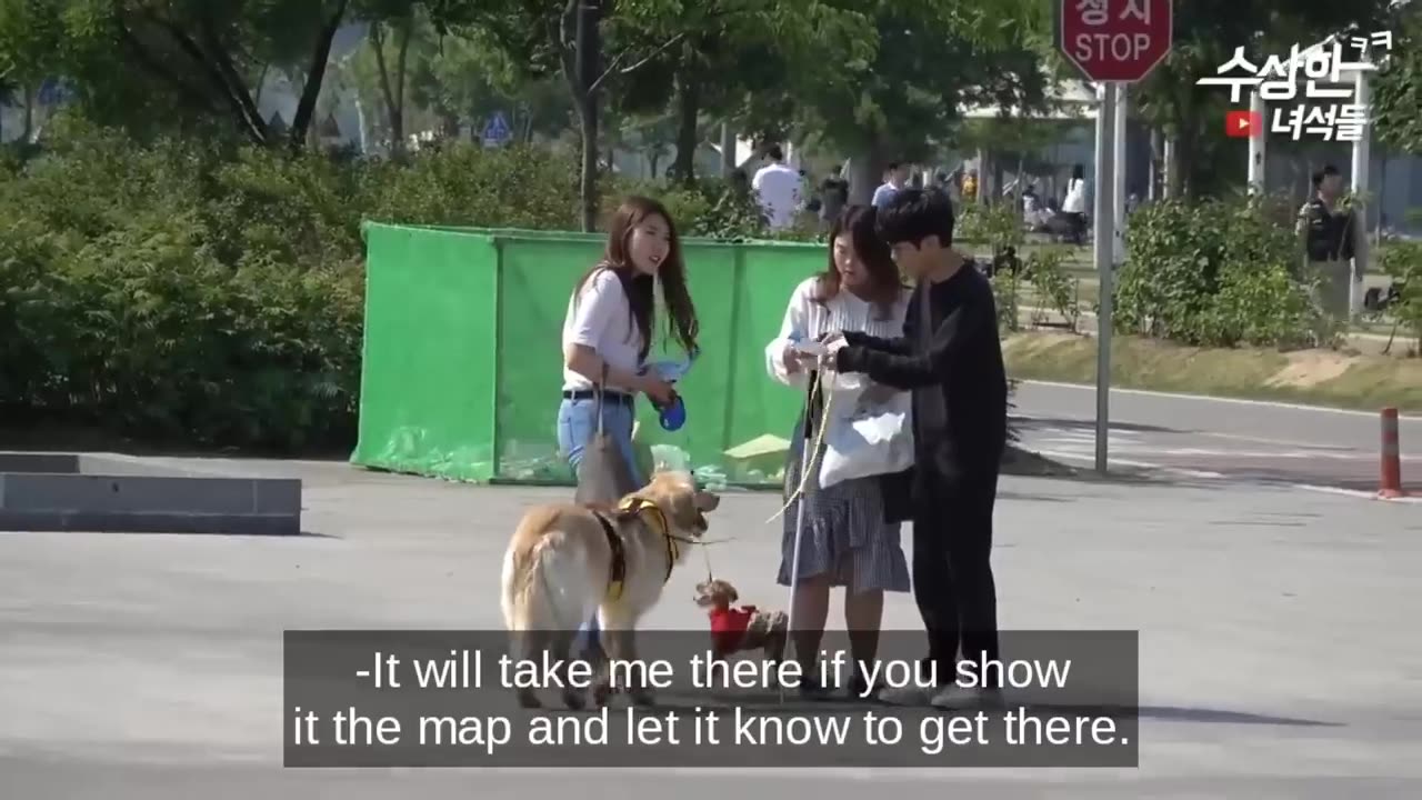 Best Korean Prank and Got Me Keep Rolling