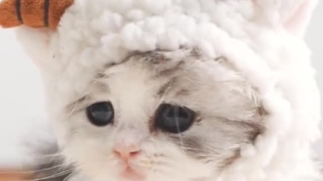 Super cute 🥰