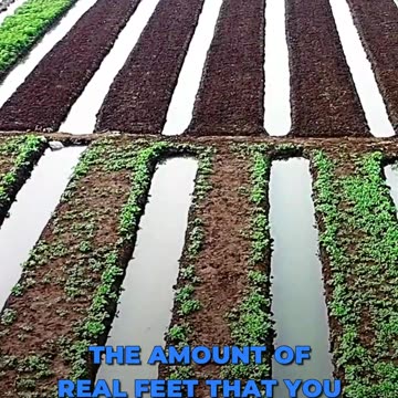 🌱Compost Need Estimation🌱