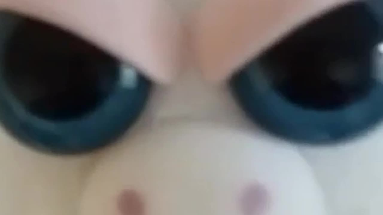 Captured alien