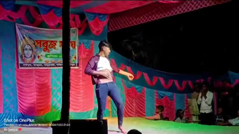 Desi indian entertainment dance