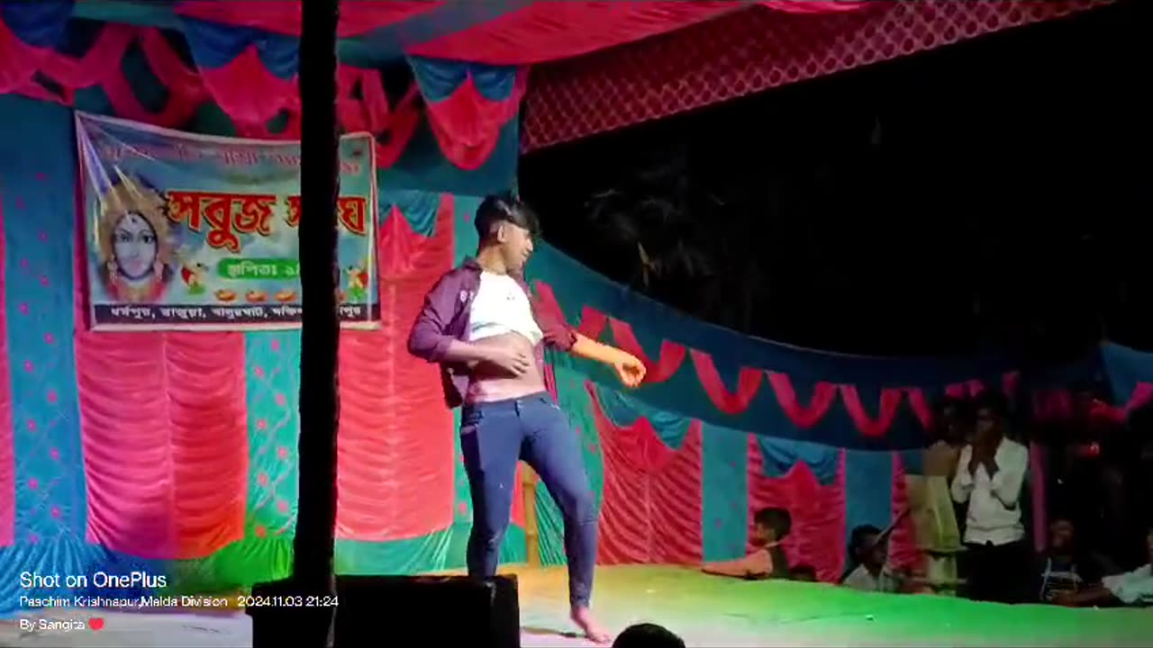 Desi indian entertainment dance