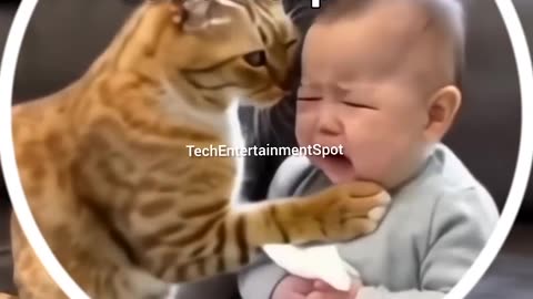 When Baby & Cat become Friends #viral #shorts #shortsfeed