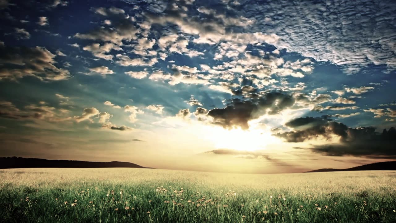 Nature's Love ❤️ scene Captured nature's senses