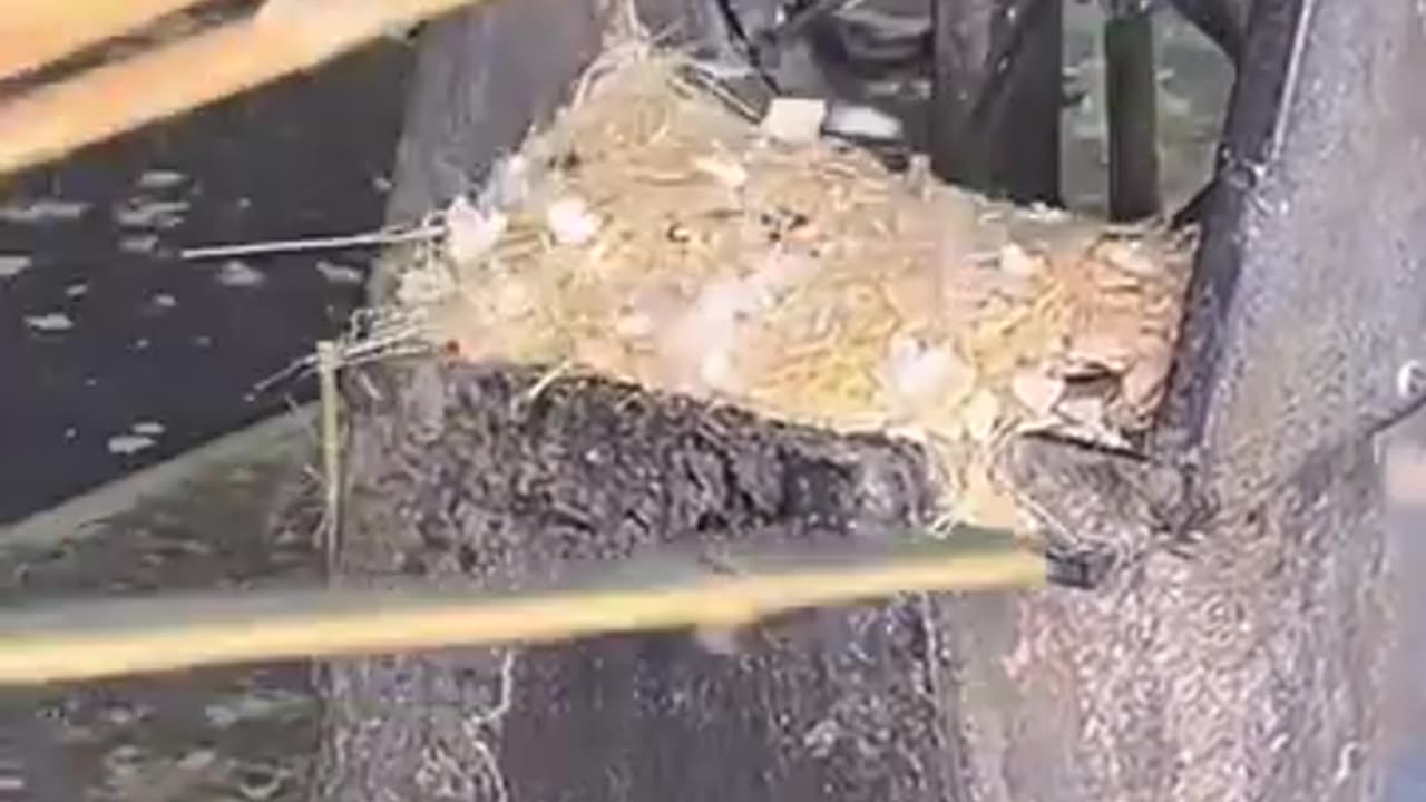 The process making of ice cooled bomboo