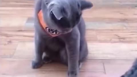hhhhhh soooo cute 🤭🥰🥰