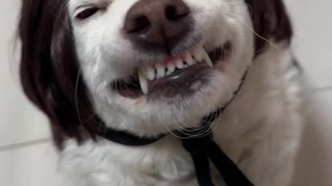 hehehehehehe😂😂😂