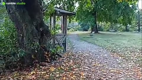 Invid Svartån i Örebro 1 Okt. 2024