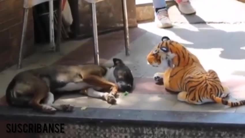 GIVE YOURSELF A BREAK!!! HAVE A LAUGH WITH THIS